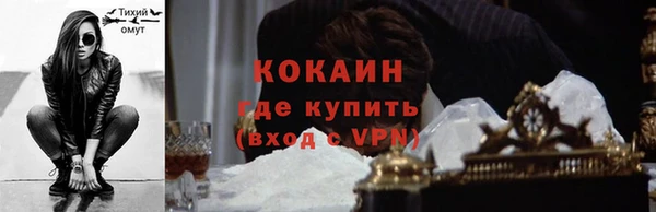 метадон Инта