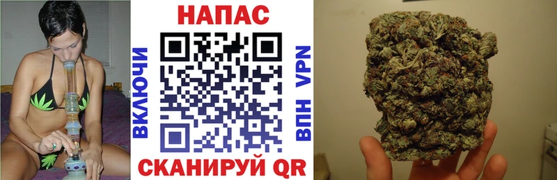 Купить Калачинск Канабис MAZAR